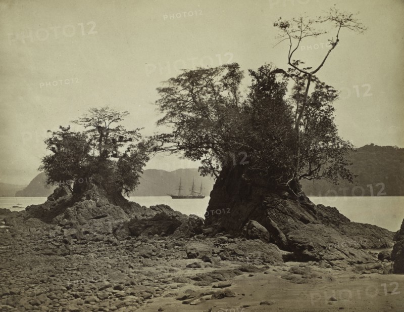 Islands in Limón Bay, 1871. John Moran (American, 1829-1902). Albumen print from wet collodion negative; image: 22.3 x 28.5 cm (8 3/4 x 11 1/4 in.); matted: 40.6 x 50.8 cm (16 x 20 in.)