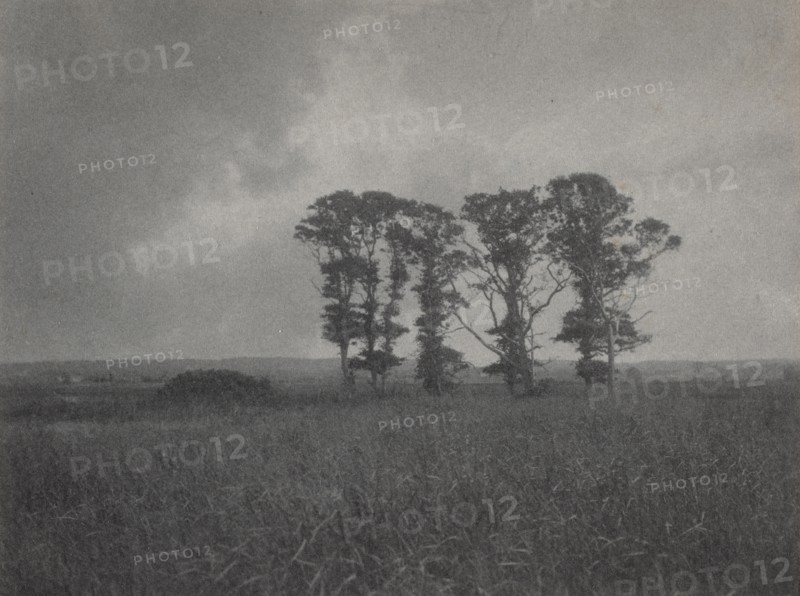 Untitled, c. 1900. William J. Mullins (American, 1860-1917). Platinum print; image: 7.6 x 10.1 cm (3 x 4 in.); matted: 25.4 x 30.6 cm (10 x 12 1/16 in.).