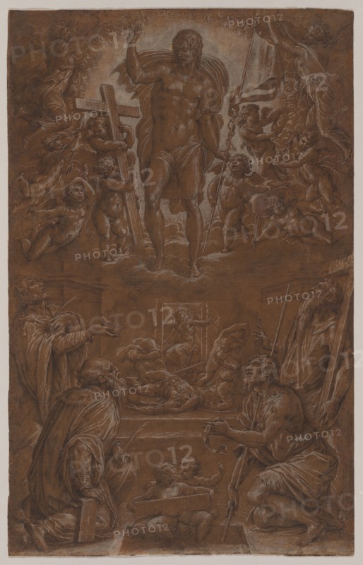 The Risen Christ Adored by Saints and Angels, 1566-1568. Giorgio Vasari (Italian, 1511-1574). Point of brush and brown ink and black chalk with traces of stylus, heightened with white; sheet: 41.9 x 26.5 cm (16 1/2 x 10 7/16 in.).