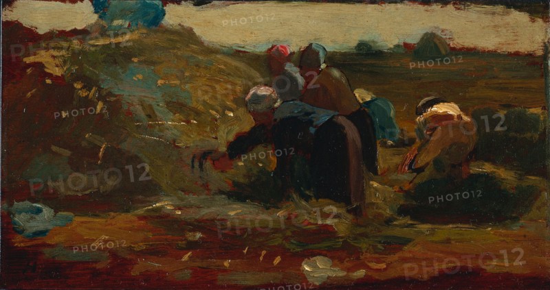 Women Working in a Field, 1867. Winslow Homer (American, 1836-1910). Oil on wood; framed: 30.5 x 45.5 x 4.5 cm (12 x 17 15/16 x 1 3/4 in.); unframed: 17 x 32.2 cm (6 11/16 x 12 11/16 in.).