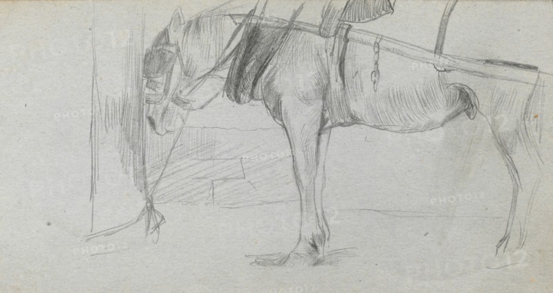 Sketchbook, page 06: Study of a Horse. Ernest Meissonier (French, 1815-1891). Graphite;