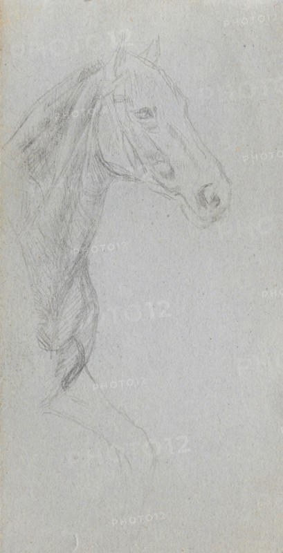 Sketchbook, page 07: Study of a Horse. Ernest Meissonier (French, 1815-1891). Graphite