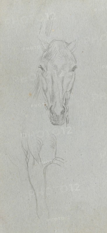 Sketchbook, page 09: Study of a Horse. Ernest Meissonier (French, 1815-1891). Graphite;