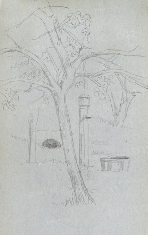 Sketchbook, page 36: Tree Study. Ernest Meissonier (French, 1815-1891). Graphite;