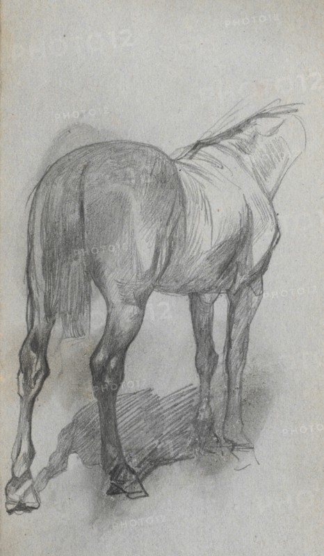 Sketchbook, page 76: Study of a Horse. Ernest Meissonier (French, 1815-1891). Graphite;