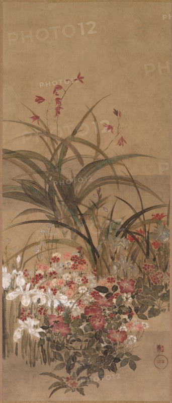 Summer Flowers, mid 1600s. Kitagawa Sosetsu (Japanese, active 1639-50). Hanging scroll; ink, color, and gold on paper; overall: 195.3 x 64.8 cm (76 7/8 x 25 1/2 in.); painting only: 107 x 45 cm (42 1/8 x 17 11/16 in.).