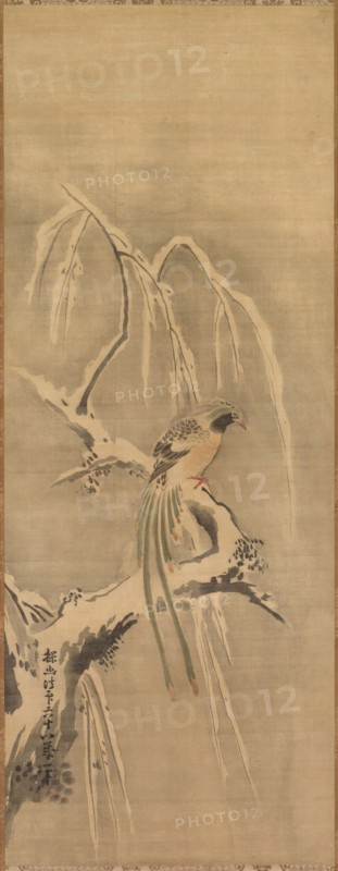 Chinese Bird on Snow-Laden Branch, 17th century. Kano Tan’yu (Japanese, 1602-1674). Hanging scroll; ink and slight color on silk; painting only: 97.5 x 37.5 cm (38 3/8 x 14 3/4 in.); including mounting: 181.9 x 54 cm (71 5/8 x 21 1/4 in.).