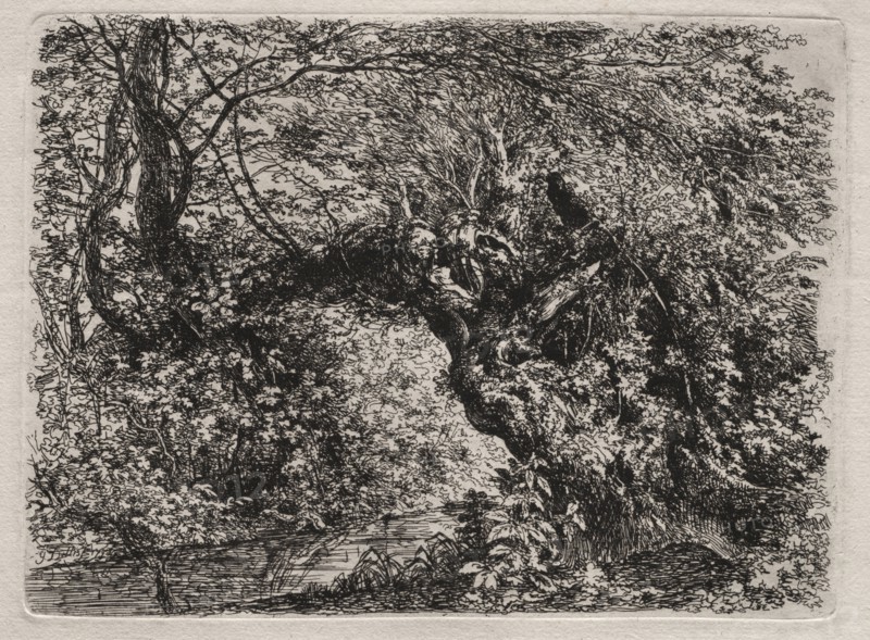 The Old Willow at a Brook, 1794. Georg von Dillis (German, 1759-1841). Etching