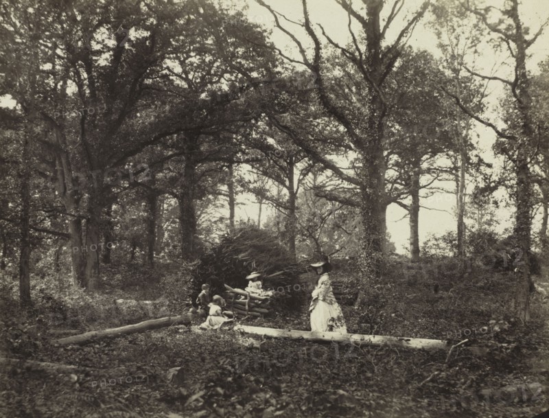 Landscape, 1856. Henry White (British, 1819-1903). Albumen print from wet collodion negative; image: 19 x 25 cm (7 1/2 x 9 13/16 in.); matted: 50.8 x 61 cm (20 x 24 in.)