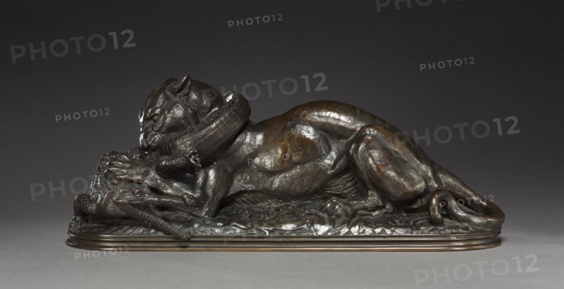 Tiger Devouring a Gavial, 1831. Antoine-Louis Barye (French, 1796-1875). Bronze; overall: 20.4 x 20.4 cm (8 1/16 x 8 1/16 in.)
