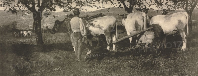 Camera Work: Ploughing Team, 1907. J. Craig Annan (British, 1864-1946). Photogravure