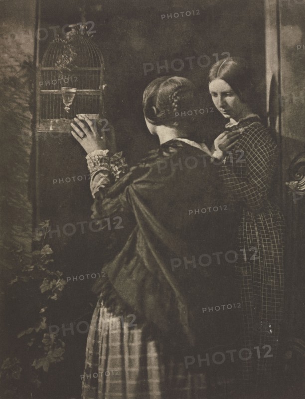 Camera Work: The Bird-Cage, 1909. David Octavius Hill (British, 1802-1870), and Robert Adamson (British, 1821-1848). Photogravure