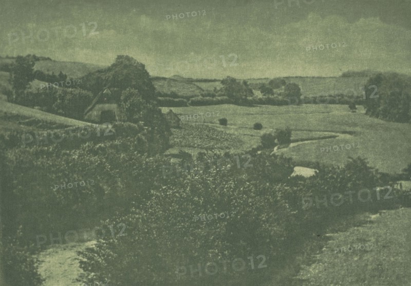 Camera Work: Meadow-brook, 1904. Theodor Hofmeister (German, 1868-1943), and Oskar Hofmeister (German, 1871-1937). Photogravure