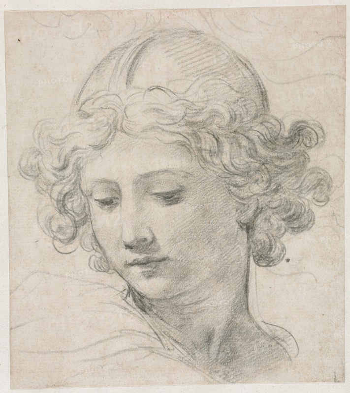 Study for the Head of St. Michael, 1633. Pietro da Cortona (Italian, 1596-1669). Black chalk; sheet: 19 x 16.8 cm (7 1/2 x 6 5/8 in.); secondary support: 31.9 x 27.6 cm (12 9/16 x 10 7/8 in.).