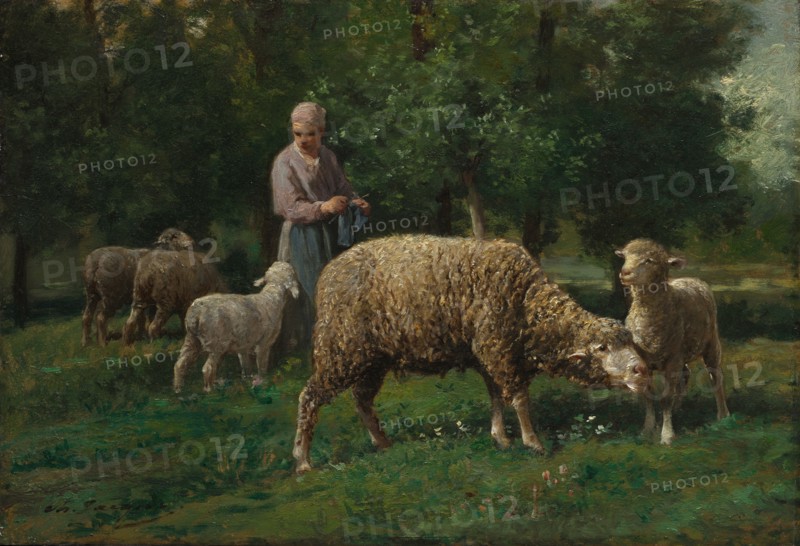 Shepherdess with Sheep, c. 1876. Charles-Émile Jacque (French, 1813-1894). Oil on wood panel; unframed: 31.5 x 46.2 cm (12 3/8 x 18 3/16 in.)