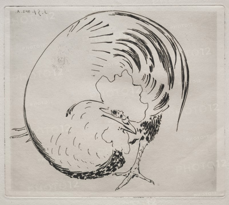 The High-Fired Service: Rooster, c. 1860. Félix Bracquemond (French, 1833-1914). Etching; sheet: 30.3 x 44.8 cm (11 15/16 x 17 5/8 in.); platemark: 20.7 x 24 cm (8 1/8 x 9 7/16 in.)