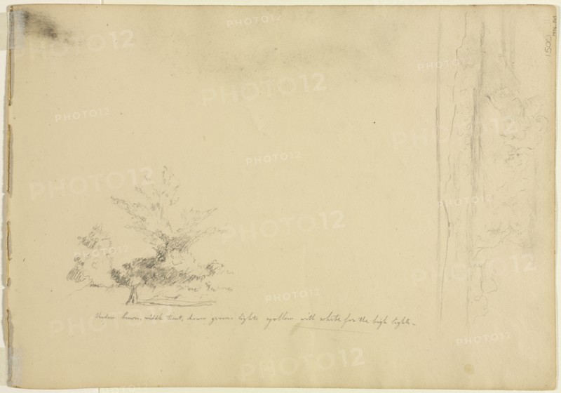 Landscape and Tree Studies (verso), c. 1851. David Johnson (American, 1827-1908). Graphite; sheet: 36.2 x 25.4 cm (14 1/4 x 10 in.).
