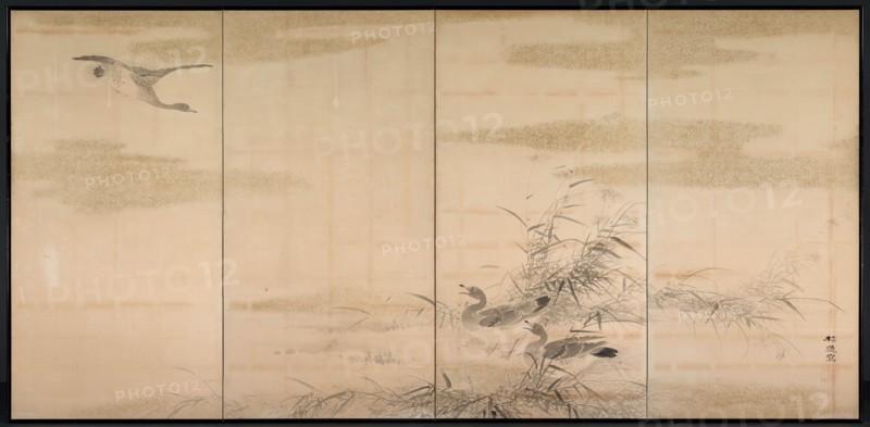 Geese, Reeds, and Water, 1800s. Yamamoto Baiitsu (Japanese, 1783-1856). Pair of four-panel folding screens; ink, color, and cut gold foil on paper; overall: 169 x 350.5 cm (66 9/16 x 138 in.).