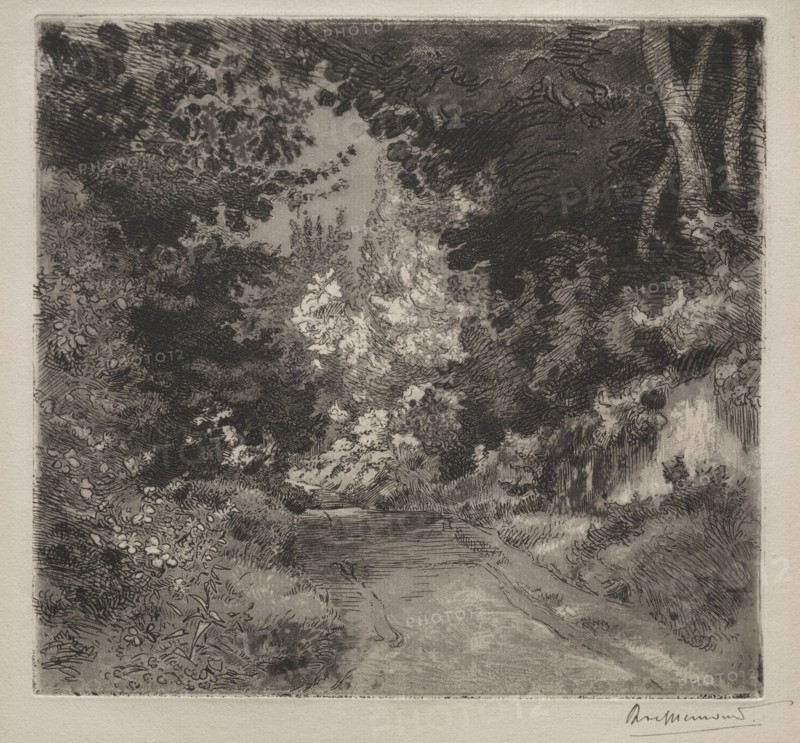 Road to Sèvres, c. 1872. Félix Bracquemond (French, 1833-1914). Etching and aquatint; sheet: 29.9 x 40.8 cm (11 3/4 x 16 1/16 in.); platemark: 21.5 x 23.1 cm (8 7/16 x 9 1/8 in.)