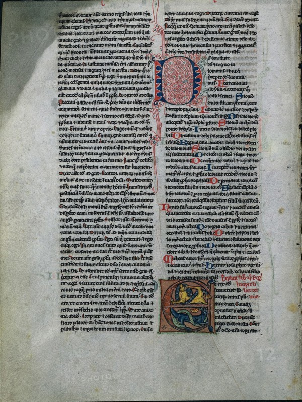 Leaf from a Bible: Initial E: Entwined Lions and Serpents (1 of 2 Excised Leaves), c. 1225-50. England, Glastonbury(?), 13th century. Tempera and ink on vellum; sheet: 20 x 15 cm (7 7/8 x 5 7/8 in.)