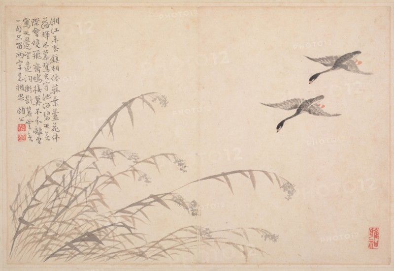 Album of Calligraphy and Paintings, 18th Century. Bian Shoumin (Chinese, 1684-1752). Album leaf; ink and color on paper; overall: 18.5 x 27.5 cm (7 5/16 x 10 13/16 in.).
