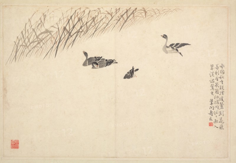 Album of Calligraphy and Paintings, 18th Century. Bian Shoumin (Chinese, 1684-1752). Album leaf; ink and color on paper; overall: 18.5 x 27.5 cm (7 5/16 x 10 13/16 in.).