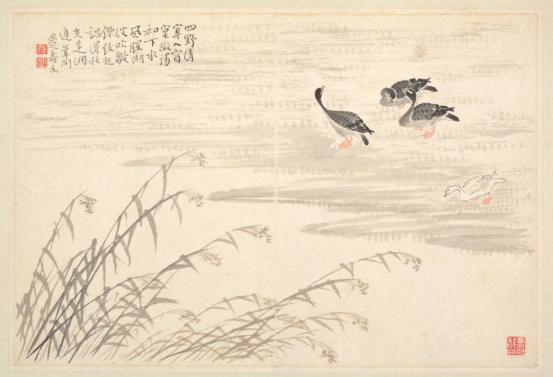 Album of Calligraphy and Paintings, 18th Century. Bian Shoumin (Chinese, 1684-1752). Album leaf; ink and color on paper; overall: 18.5 x 27.5 cm (7 5/16 x 10 13/16 in.).