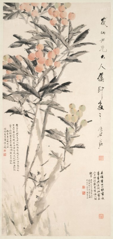 Pipa (Loquats), c. 1888-89. Xugu (Chinese, 1823-1896). Hanging scroll, ink and color on paper; image: 112.5 x 52 cm (44 5/16 x 20 1/2 in.); overall: 233 x 70.5 cm (91 3/4 x 27 3/4 in.).