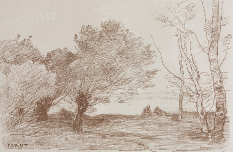 Willows and Poplars, 1871. Jean Baptiste Camille Corot (French, 1796-1875), Robaut. Lithograph with chine collé; sheet: 40.4 x 56.7 cm (15 7/8 x 22 5/16 in.); chine collé: 25.7 x 39.4 cm (10 1/8 x 15 1/2 in.)