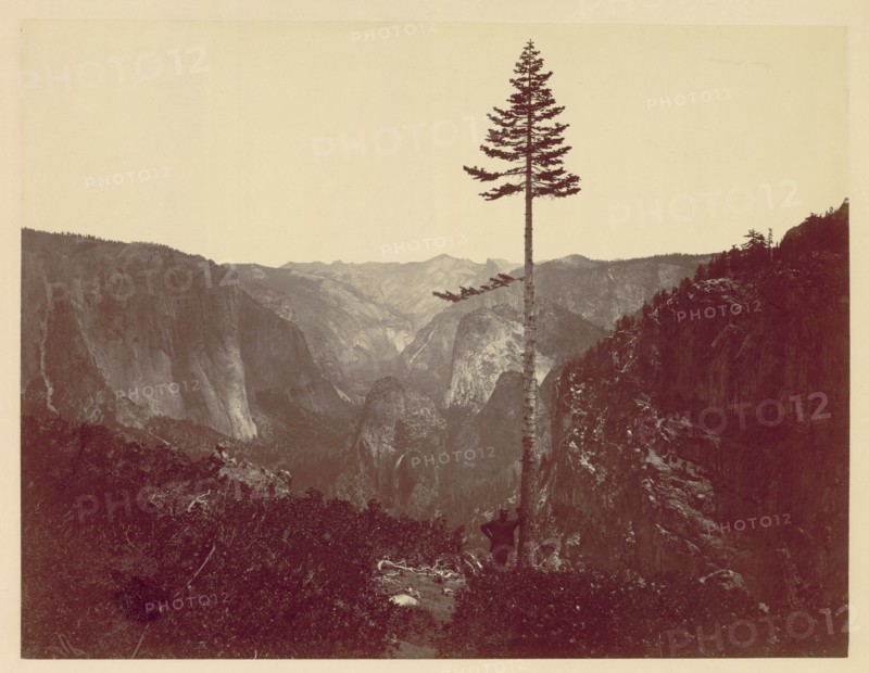 Yosemite Valley from Mariposa Trail, c. 1865. Charles Leander Weed (American, 1824-1903). Mammoth albumen print from wet collodion negative; image: 39.7 x 51.7 cm (15 5/8 x 20 3/8 in.); mounted: 55.6 x 71 cm (21 7/8 x 27 15/16 in.); matted: 71.1 x 81.3 cm (28 x 32 in.)
