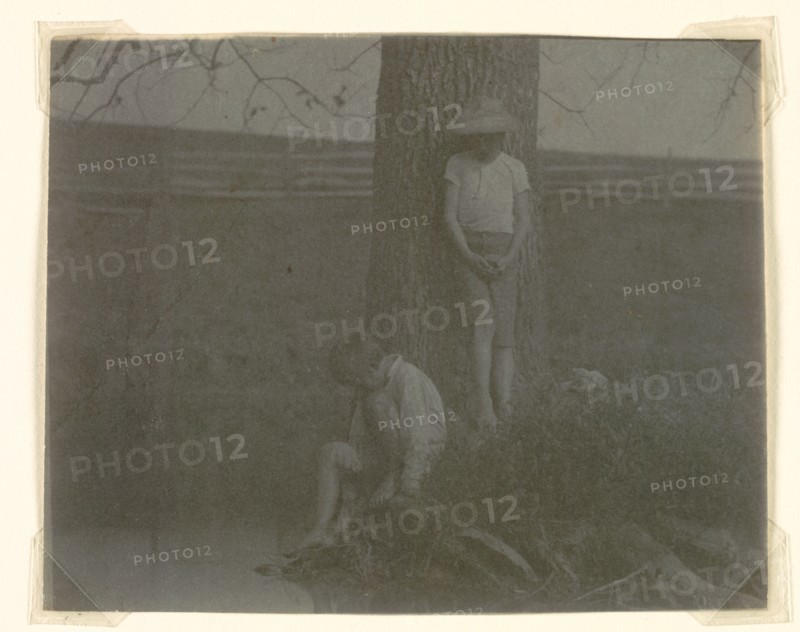 Crowell Children at Avondale, 1885-1890. Thomas Eakins (American, 1844-1916). Platinum print; image: 9 x 11.2 cm (3 9/16 x 4 7/16 in.); paper: 9.1 x 11.3 cm (3 9/16 x 4 7/16 in.); matted: 35.6 x 45.7 cm (14 x 18 in.)