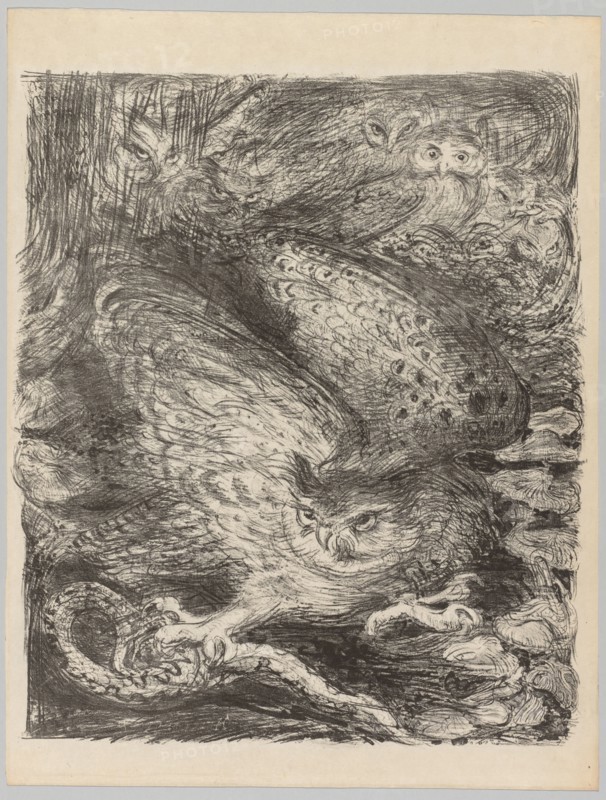The Vintages!: Seven Owls and a Serpent, c. 1900. Henri de Groux (Belgian, 1867-1930). Lithograph; sheet: 56.8 x 43.3 cm (22 3/8 x 17 1/16 in.); image: 48.8 x 40.1 cm (19 3/16 x 15 13/16 in.)