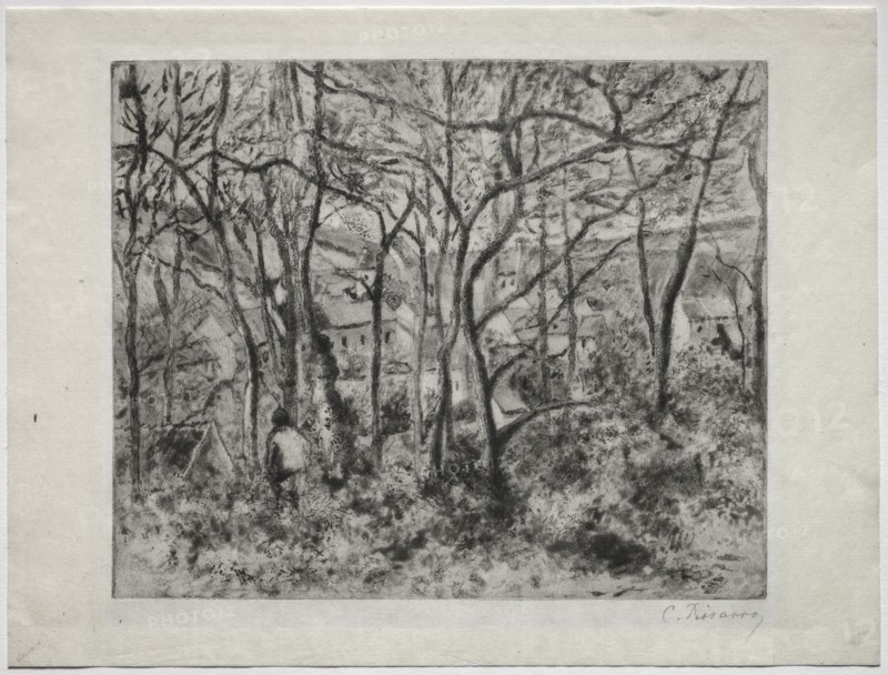 Wooded Landscape at L'Hermitage, Pontoise, 1879. Camille Pissarro (French, 1830-1903). Softground, aquatint, and drypoint; platemark: 21.9 x 26.9 cm (8 5/8 x 10 9/16 in.); overall: 26.9 x 35.6 cm (10 9/16 x 14 in.)