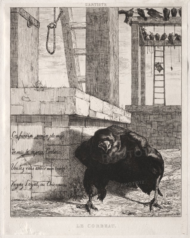 The Raven, 1854. Félix Bracquemond (French, 1833-1914). Etching; sheet: 31.7 x 23.8 cm (12 1/2 x 9 3/8 in.); platemark: 23.5 x 18.5 cm (9 1/4 x 7 5/16 in.)