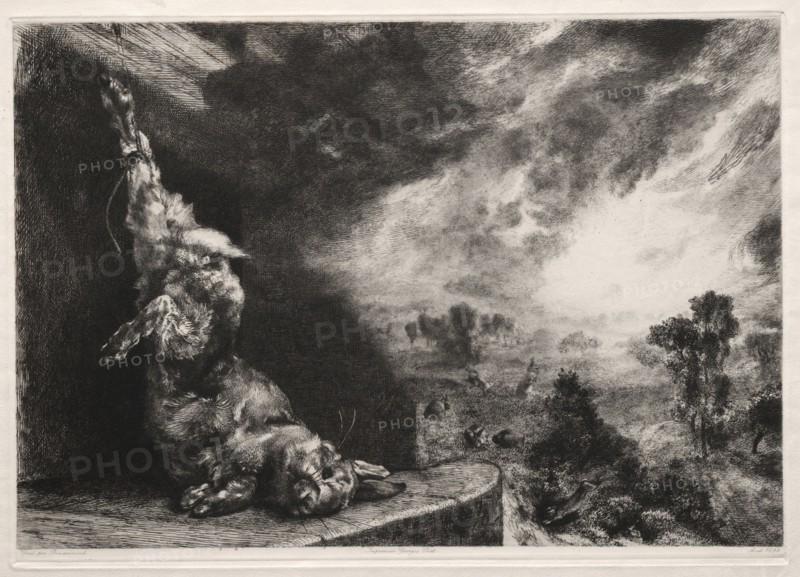 The Large Rabbit, 1891, printed 1894. Félix Bracquemond (French, 1833-1914). Etching and drypoint; sheet: 36.7 x 46.2 cm (14 7/16 x 18 3/16 in.); platemark: 24.2 x 34.3 cm (9 1/2 x 13 1/2 in.).