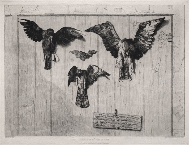 The Top of the Swing-Door, 1852 (printed 1865). Félix Bracquemond (French, 1833-1914), Cadart & Luquet 79, rue Richelieu, Paris. Etching; sheet: 35.4 x 42.1 cm (13 15/16 x 16 9/16 in.); platemark: 30.3 x 39.7 cm (11 15/16 x 15 5/8 in.).