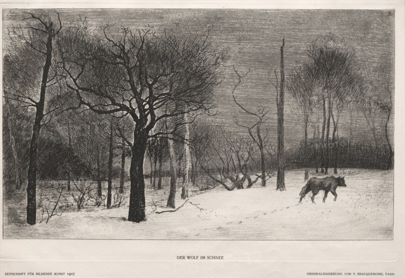 Winter, 1862. Félix Bracquemond (French, 1833-1914), Bildende Kunst. Etching; sheet: 23.5 x 32.5 cm (9 1/4 x 12 13/16 in.); platemark: 20.6 x 31.9 cm (8 1/8 x 12 9/16 in.).