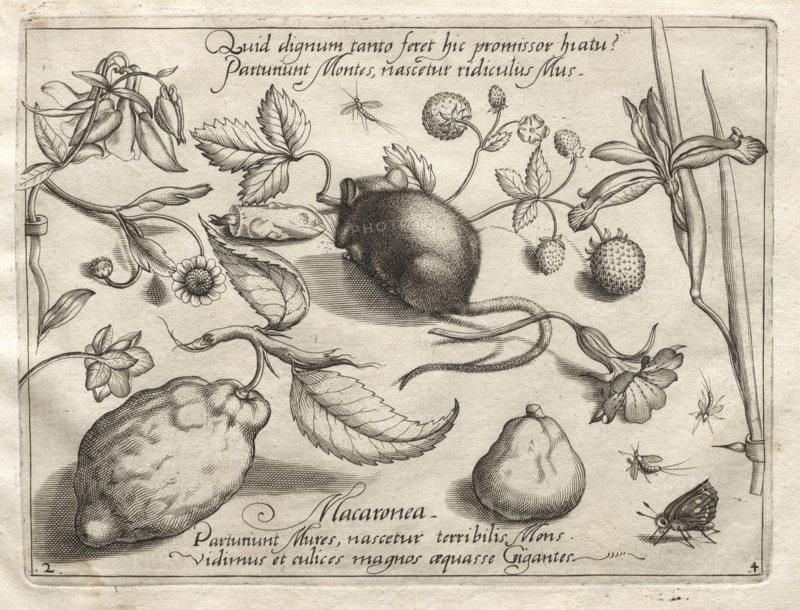 Archetypes and Studies: What can emerge in keeping with such a cavernous promise? (Part IV, plate 2), 1592. Joris Hoefnagel (Flemish, 1542-1601), after Jacob Hoefnagel (Flemish, 1575-c.1630). Engraving; sheet: 18.6 x 27.2 cm (7 5/16 x 10 11/16 in.); platemark: 15.7 x 21.1 cm (6 3/16 x 8 5/16 in.)