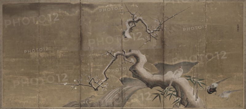 Winter Scene with Plum Trees and Pheasants (Birds Left), early 1600s. Kano Naonobu (Japanese, 1607-1650). Pair of six-fold screens, mineral pigments and gold leaf on paper; overall: 170.2 x 369.4 cm (67 x 145 7/16 in.); painting only: 155 x 353 cm (61 x 139 in.).