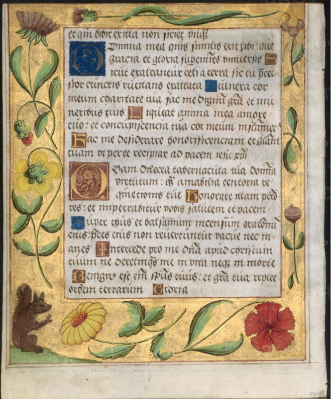 Leaf from a Psalter and Prayerbook: Ornamental Border with Flowers and Squirrel (verso), c. 1524. North Germany, Hildesheim (?), 16th century. Ink, tempera and liquid gold on vellum; each leaf: 16.6 x 13.5 cm (6 9/16 x 5 5/16 in.)