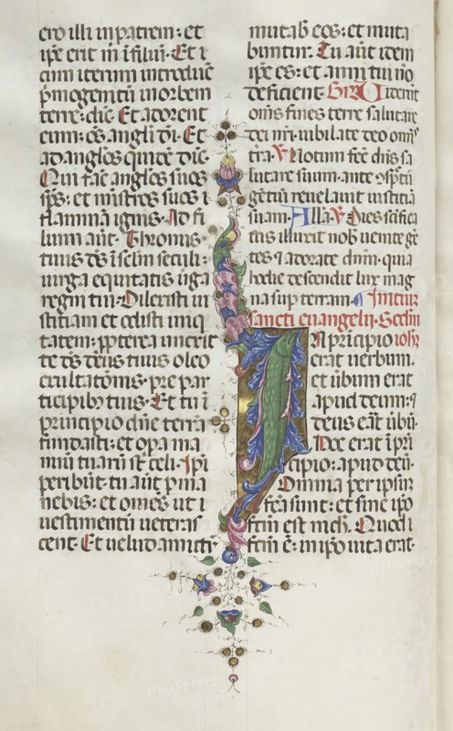 Missale: Fol. 22v: Foliage with Fish, 1469. Bartolommeo Caporali (Italian, c. 1420-1503), assisted by Giapeco Caporali (Italian, d. 1478). Ink, tempera and burnished gold on vellum ; overall: 35 x 25 cm (13 3/4 x 9 13/16 in.).