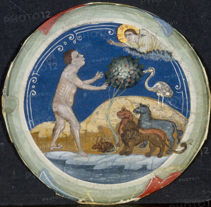 Medallion from the Border of a Latin Bible: The Sixth Day of Creation, early 1300s. Primo Miniatore di San Domenico (Italian). Tempera on vellum; sheet: 7 cm (2 3/4 in.)