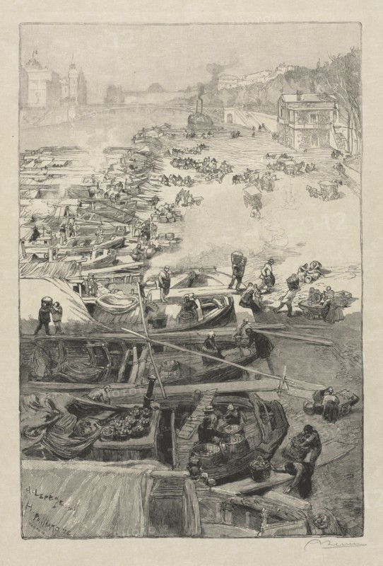 published in Le Monde Illustré, 1883: Arrival of Potatoes at the Hotel de Ville, 1883. Auguste Louis Lepère (French, 1849-1918), and Henri Pierre Paillard (French, 1844-1912). Wood engraving; sheet: 46.8 x 32.5 cm (18 7/16 x 12 13/16 in.); platemark: 32 x 21.3 cm (12 5/8 x 8 3/8 in.)
