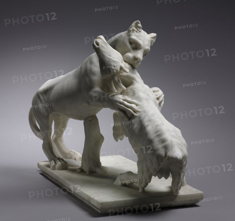 Panther Attacking a Goat , late 1700s. Francesco Antonio Franzoni (Italian, 1734-1818). Marble; overall: 43.8 x 66.5 x 28.5 cm (17 1/4 x 26 3/16 x 11 1/4 in.).