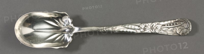 Salad Spoon (Pattern "Vine"), c. 1900. Tiffany and Company (American). Silver; overall: 26.1 cm (10 1/4 in.).
