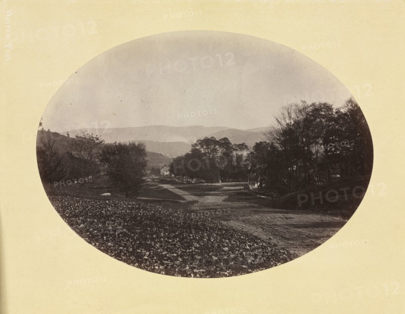 A Road in Williamstown, c. 1870. George K. Warren (American, 1834-1884). Albumen print from wet collodion negative; image: 14.8 x 20.2 cm (5 13/16 x 7 15/16 in.); mounted: 27.6 x 35.5 cm (10 7/8 x 14 in.); with borders: 19.1 x 24.4 cm (7 1/2 x 9 5/8 in.); matted: 40.6 x 50.8 cm (16 x 20 in.).