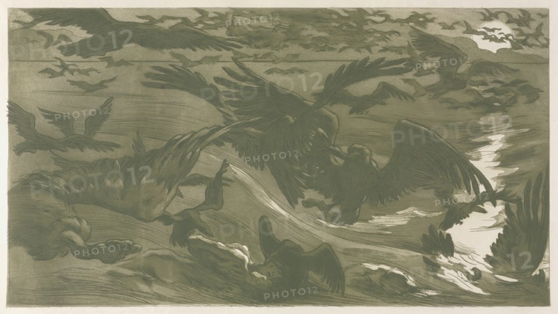 published in L'Estampe Originale : Birds of Prey, 1893. Victor Emile Prouvé (French, 1858-1943). Aquatint and etching in green; sheet: 43 x 60.5 cm (16 15/16 x 23 13/16 in.); platemark: 23.9 x 42.4 cm (9 7/16 x 16 11/16 in.)