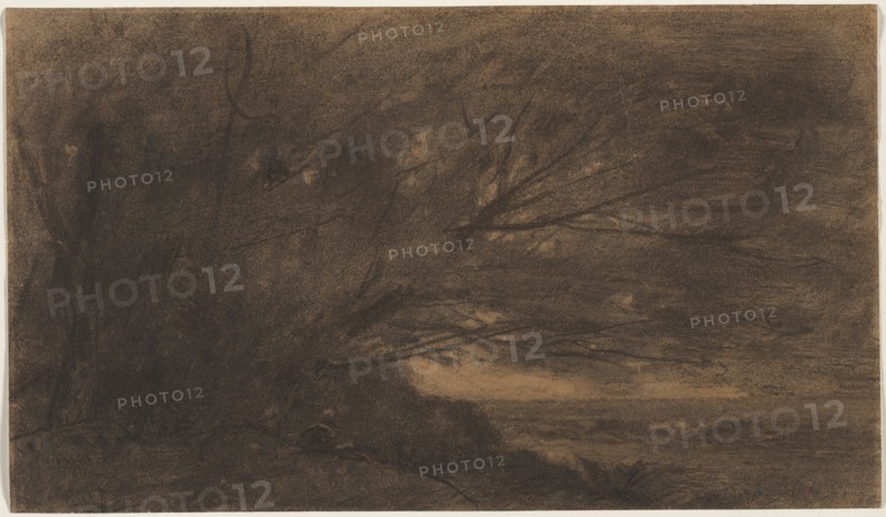 Landscape (The Large Tree), c. 1865-1870. Jean Baptiste Camille Corot (French, 1796-1875). Charcoal with stumping and wet brushwork; sheet: 24.2 x 41.9 cm (9 1/2 x 16 1/2 in.).