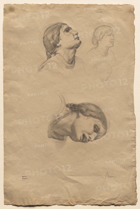 Four Studies of the Head of a Young Italian Woman, 1856. Edgar Degas (French, 1834-1917). Graphite; sheet: 46.2 x 30.7 cm (18 3/16 x 12 1/16 in.).