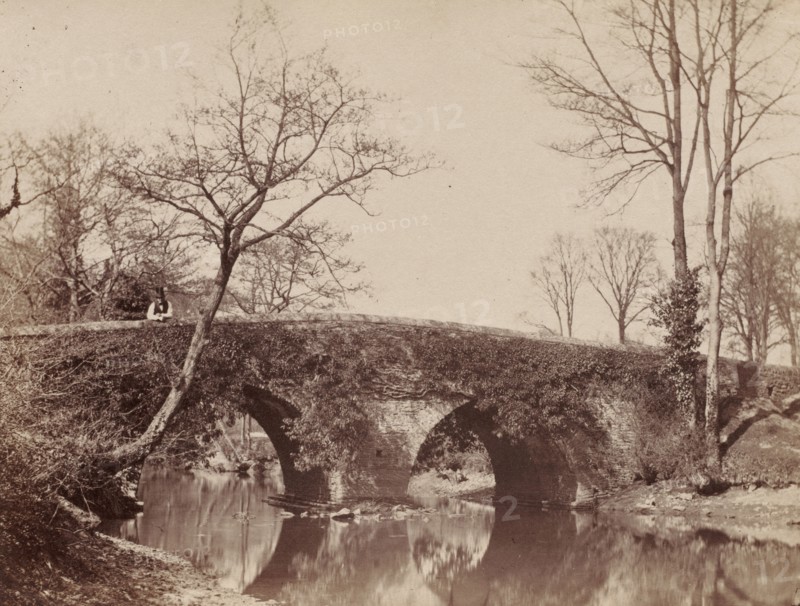 The Country Bridge (Staplylton Bridge, Bristol), c. 1854- 1857. John Dillwyn Llewelyn (British, 1810-1882). Albumen print; image: 15.4 x 20.2 cm (6 1/16 x 7 15/16 in.); paper: 25.8 x 35.8 cm (10 3/16 x 14 1/8 in.); matted: 40.6 x 50.8 cm (16 x 20 in.)